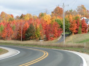 pict0087