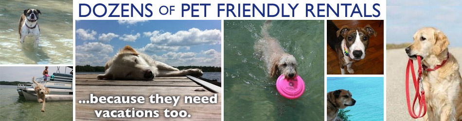pet-friendly-rentals