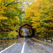 A road in Northern Michigan surrounded by fall foliage.