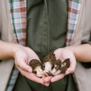 A woman with morel mushrooms in Michigan.
