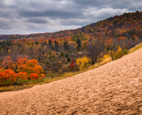 A view of fall colors in Northern Michigan.